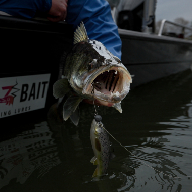 Pulz Bait Jigging Rigz