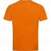 Blaser Argali Outline T 26 T-Shirt Men (Rust) 