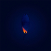 Probaits Chronos Spoon 2,2 g - Vane | Firetail (Holo) 