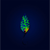 Probaits Totem Spoon 3,0 g - Spread | Cloudburst 
