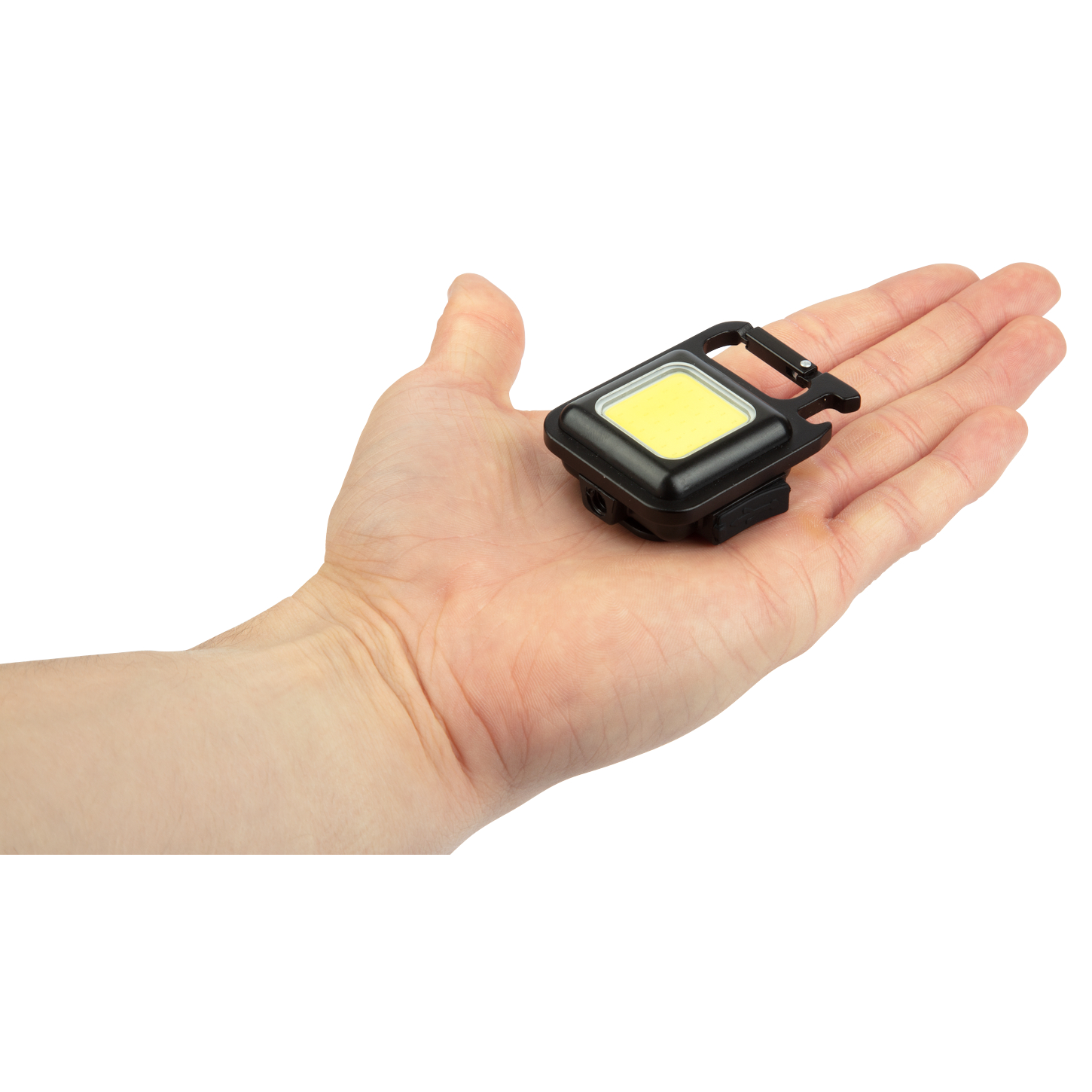 Bearstep High power clip lamp 