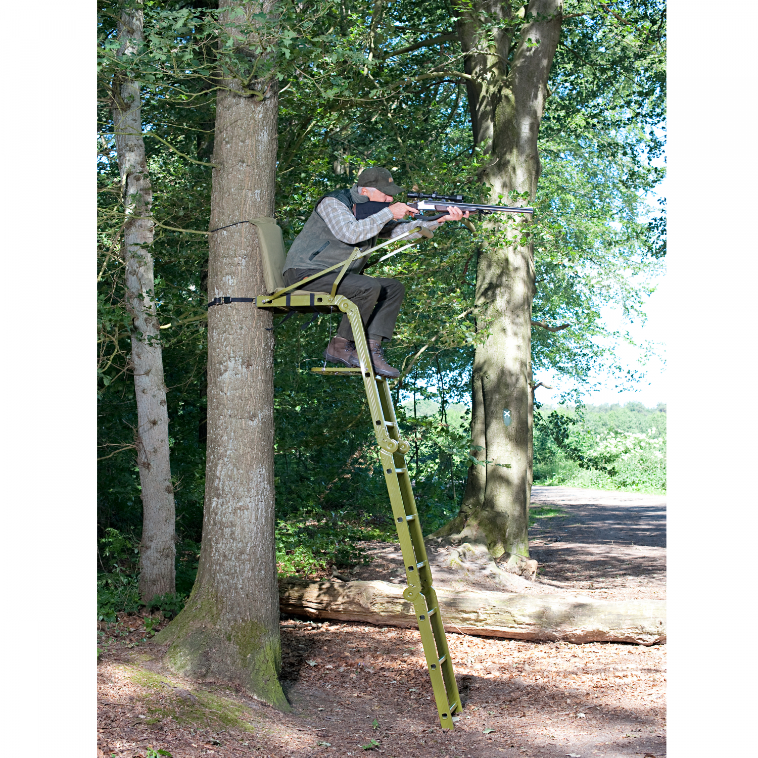 Tree Stand Waschbär 