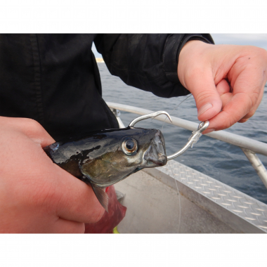 Eisele Halibut leader Circle XXL