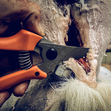 Hunting Scissors Easy Clean