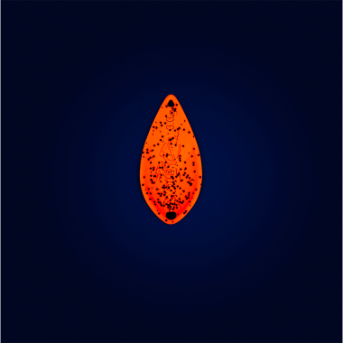 Probaits Totem Spoon 3,0 g - Trinary | Hot Apple (Holo)