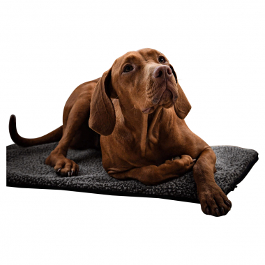 Shooterking Dog bed (heated)