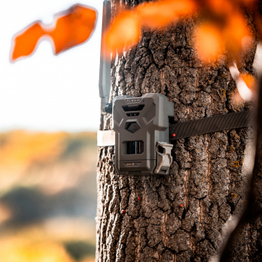 Wildlife camera Flex-M (Twin Pac)