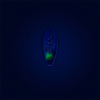 Probaits Chronos Spoon 2,2 g - Vane | Firetail (Holo) 