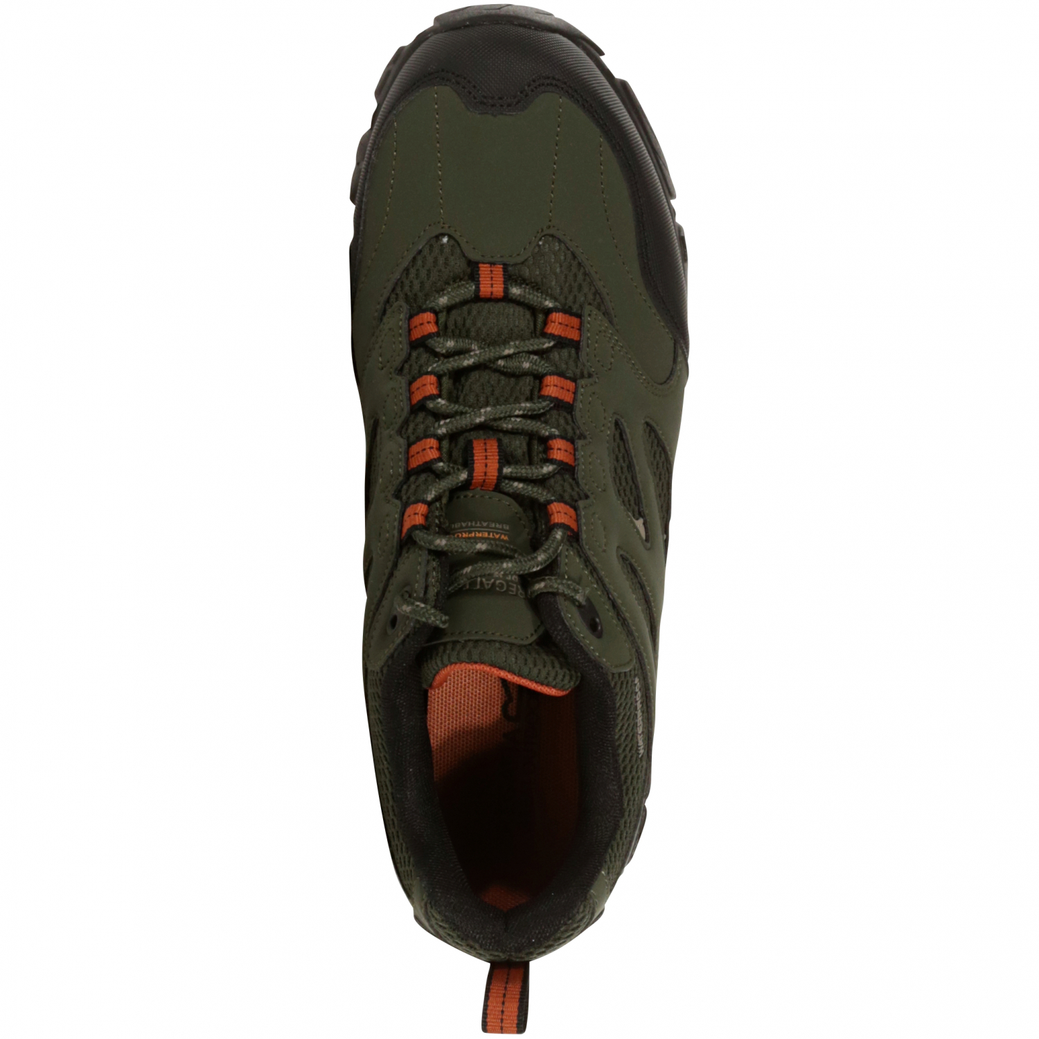 Men's Hiking Shoes Holcombe IEP Low 