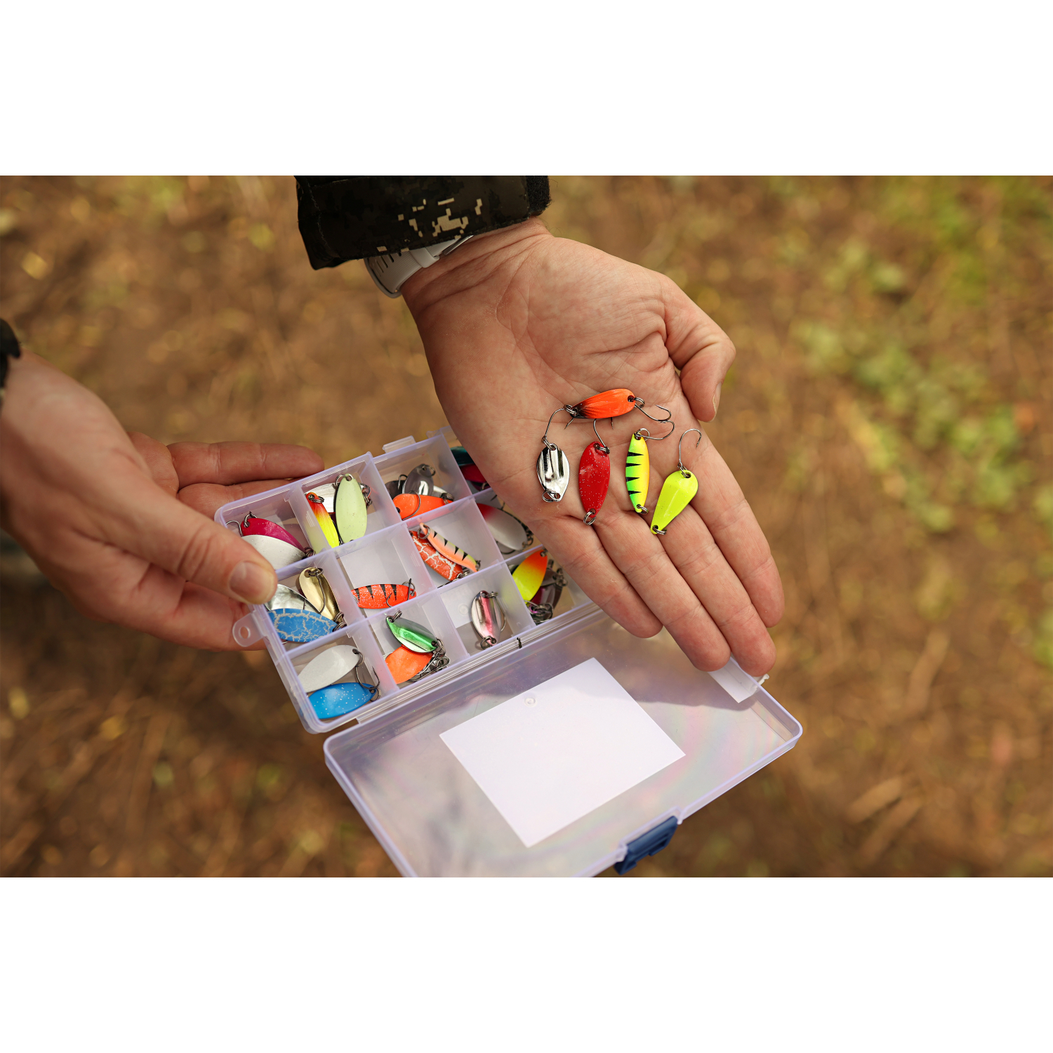 Salmo Spoon box 1 43s 