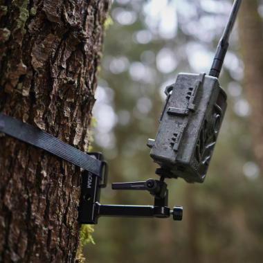 Wildlife Camera Secacam 5 (pack of 3)