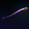 Probaits Holi Shad 5" | Golden Execution 