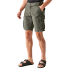 Shorebay II Shorts 