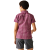 Regatta Mindano VIII Short Sleeve Shirt Women (Beaujolais Check) 
