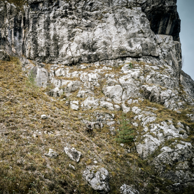 Deerhunter Pro Gamekeeper Jacket - Short Men