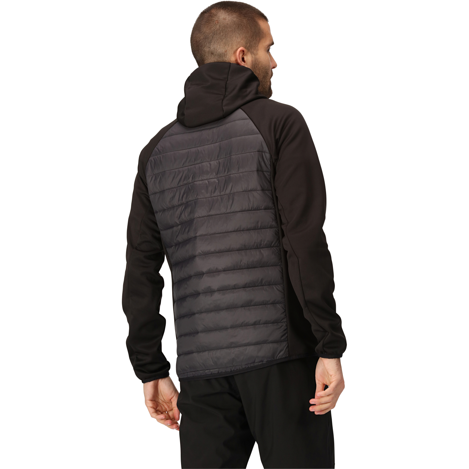 Regatta Men's Jacket Andreson VIII Hybrid (black/grey) 