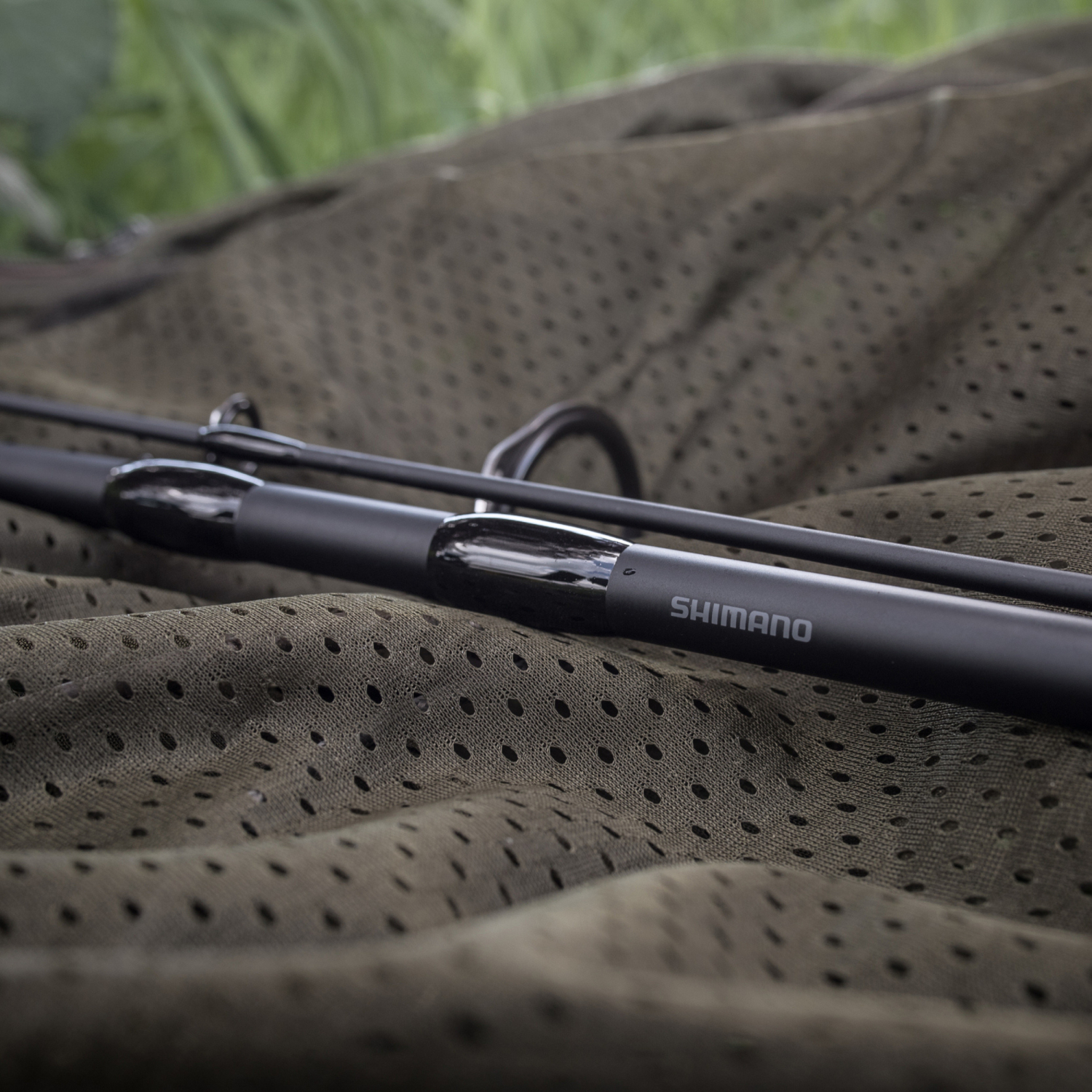 Shimano Carp Rod TX-1B 