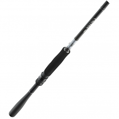 Daiwa Calida Series