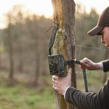 Wildlife Camera Secacam 5 (pack of 3)