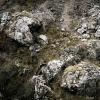 Deerhunter Pro Gamekeeper Jacket - Short Men (Realtree Timber Camo) 