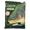  Carpix (Erdbeere) 