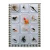 Behr Gold Head Nymph Assortment 