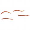  Soft Baits Gulp Alive Angle Worm (Laubwurm) 