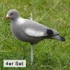  Decoy-pigeon Full Body powdered (4 as a set) 
