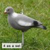  Decoy-pigeon Full Body powdered (4 as a set) 
