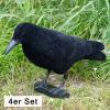  Carrion Crow, fullbodied (flocked, 4 as a set) 