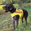  Reflector-Vest for dogs 