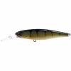  Plug Squirrel / Deep Dive Squirrel (Perch) 