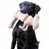  Retrieval Dummy Kanin 