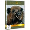 DVD Schwarzwildfieber III von Hunters Video 