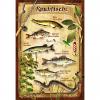  Metal Plate (Predators) 
