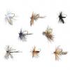  Edition Fly Dry Fly Assortment 