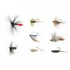  Edition Fly Nassfliegen-/Nymphensortiment 