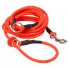  Biothane Moxon demonstration leash 