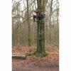  Baumsitz Grober Keiler 