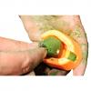  Inline Method Feeder 