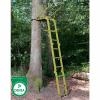  Tree seat Raccoon (set of 2) 