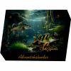  Adventskalender Allround 2026 