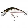  Wobbler Cor F11 (Striped Seed) 