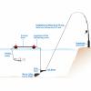  Bone 