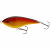  Glidebait Swim (Special) 