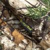  Thermo Jacke Paja Herren (Camouflage) 