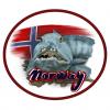 Aufnäher "Norway" 