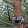  Motion detector Gamewatch 2+1 