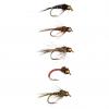  Fly Goldhead Nymph Set Fly Assortment 