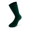 Lenz Trekking 6.0 Socks (Grün) 
